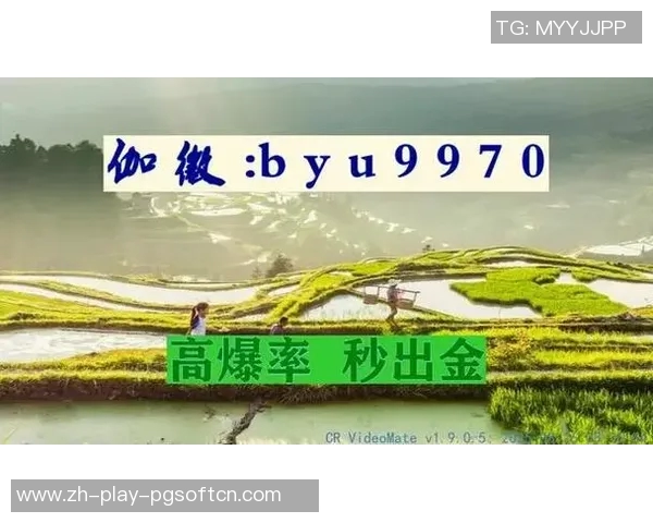 单机版pg麻将胡了下载-单机版pg麻将胡了如何下载与体验的乐趣-单机版pg麻将胡了下载